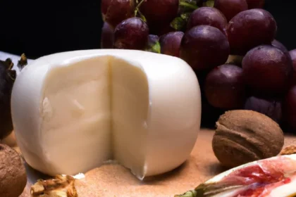 cheese-from-south-africa-1024x585