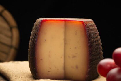 discovering-queijo-de-colonia-cheese-from-brazil_einszueins-2