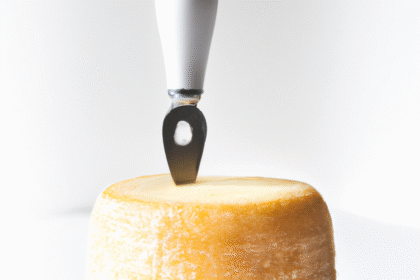 discovering-samso-cheese-from-denmark-2