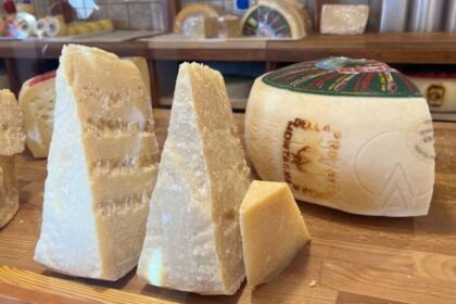 discovering-asiago-cheese-the-cheese-place