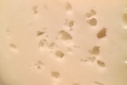 discovering-bovski-sir-cheese-of-slovenia-the-cheese-place