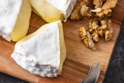 discovering-brie-de-nucet-cheese-from-romania-cheese-the-cheese-place