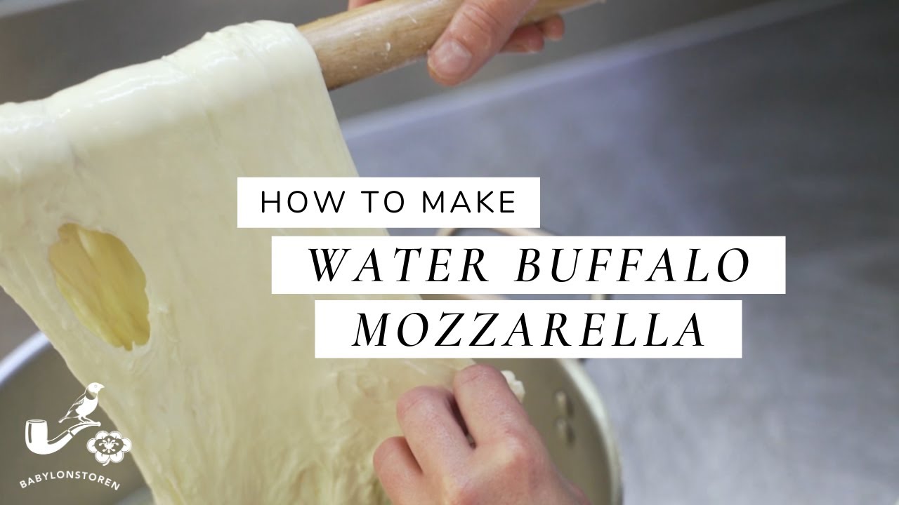 discovering-buffalo-mozzarella-cheese-from-south-africa-the-cheese-place