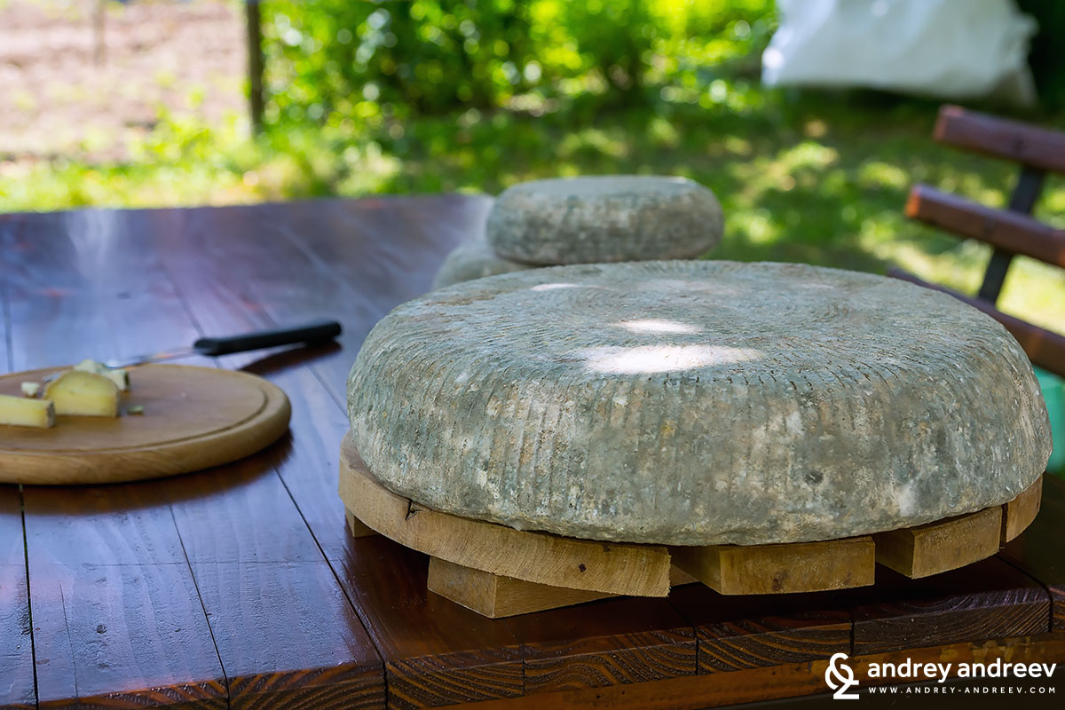 discovering-cherni-vit-green-cheese-cheese-of-bulgaria-the-cheese-place