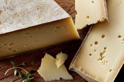 discovering-fontina-cheese-the-cheese-place