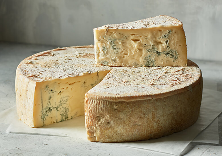 discovering-gorgonzola-cheese-the-cheese-place