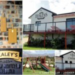 discovering-healeys-cheddar-cheese-from-south-africa-the-cheese-place