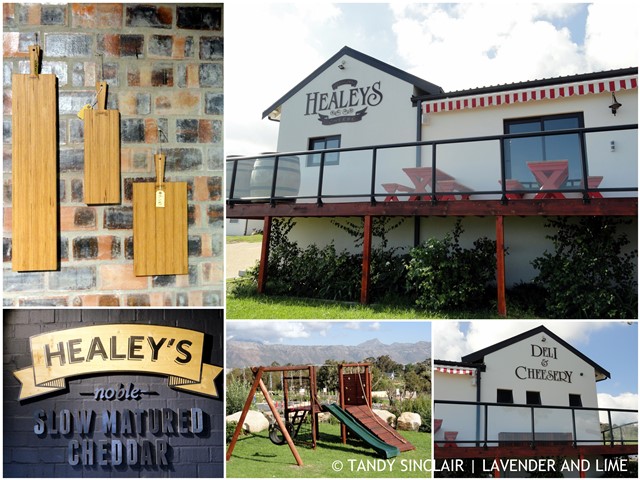 discovering-healeys-cheddar-cheese-from-south-africa-the-cheese-place