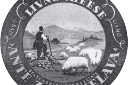 discovering-kranjski-sir-cheese-of-slovenia-the-cheese-place