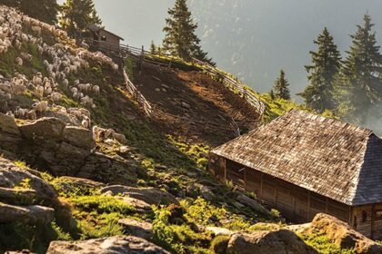 discovering-oslea-cheese-from-romania-cheese-the-cheese-place