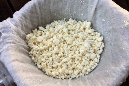 discovering-piena-biezpiens-cheese-from-latvia-the-cheese-place