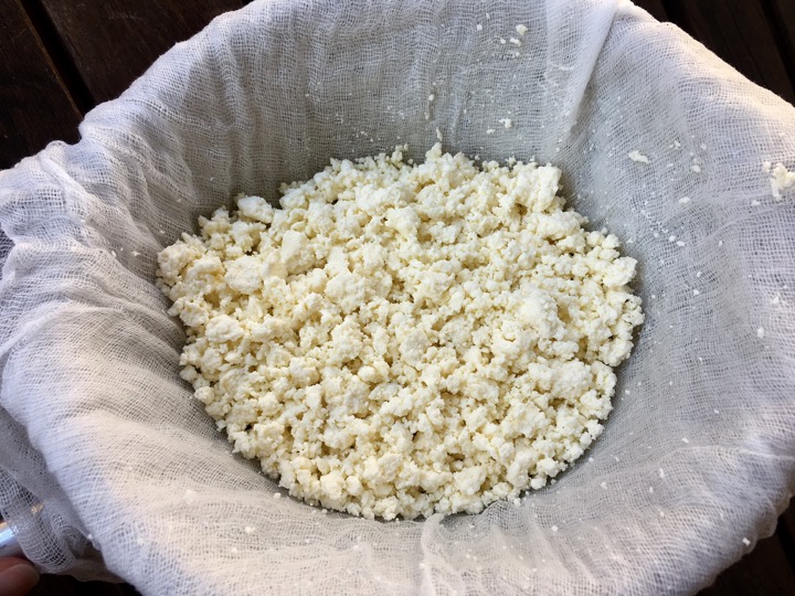 discovering-piena-biezpiens-cheese-from-latvia-the-cheese-place