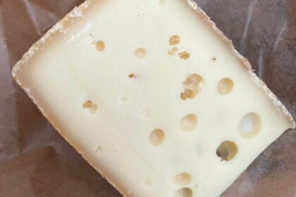 discovering-savinjski-sir-cheese-of-slovenia-the-cheese-place