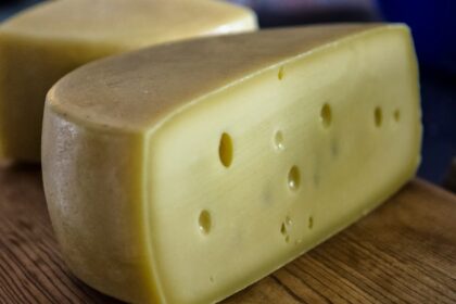 discovering-tolminc-cheese-cheese-of-slovenia-the-cheese-place