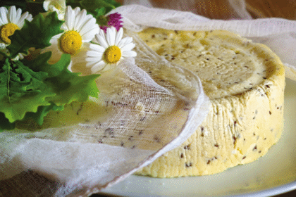 discovering-vecgulbenes-siers-cheese-from-latvia-the-cheese-place