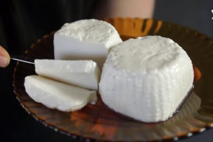 gibna-bayda-a-fresh-brined-white-cheese-cheese-place