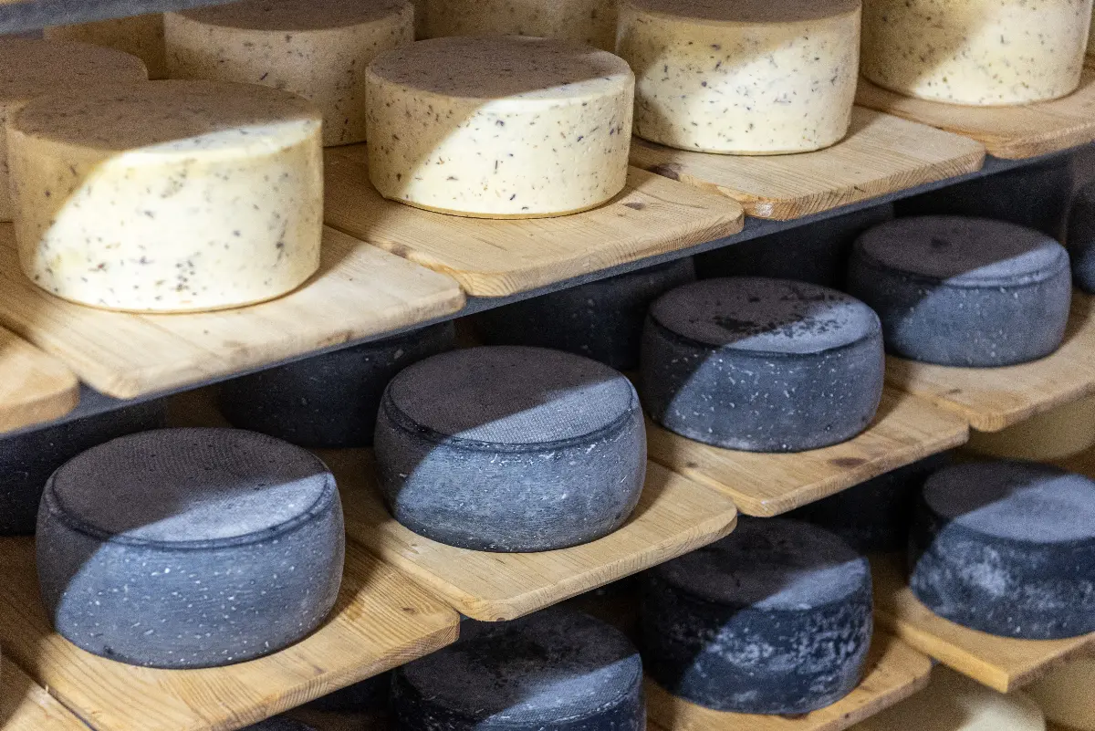 magyar-betyar-sajt-a-hungarian-cheese-guide-cheese-place