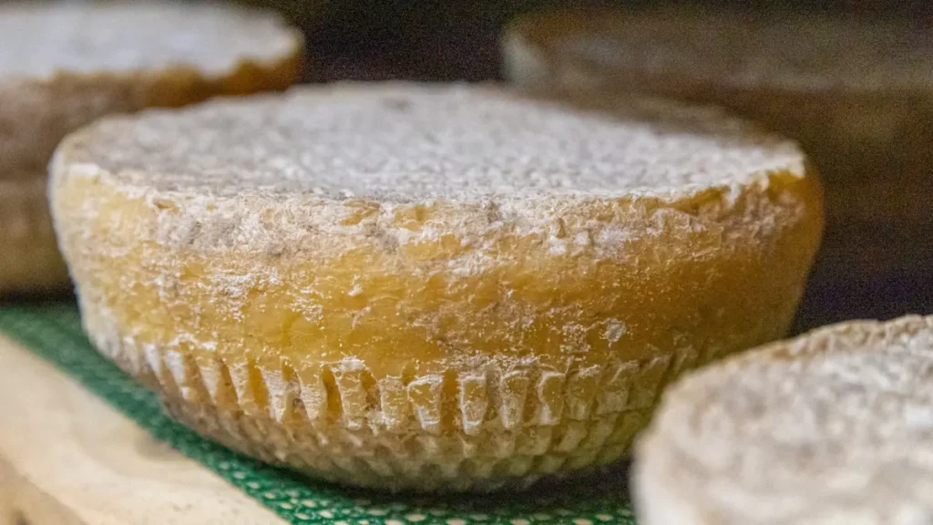 travesset-cheese-from-andorra-a-unique-taste