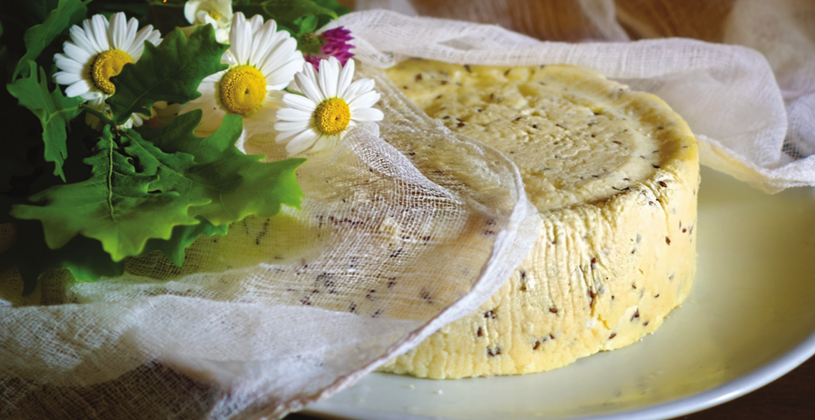 unveiling-the-unique-delights-of-talsu-ritulis-latvias-masterpiece-cheese-the-cheese-place